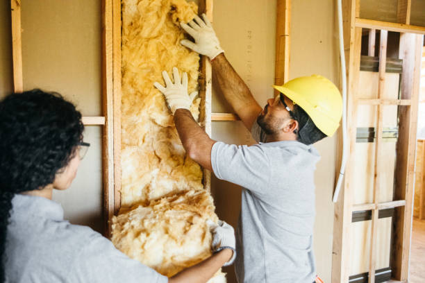 Best Insulation for New Construction  in Titusville, PA